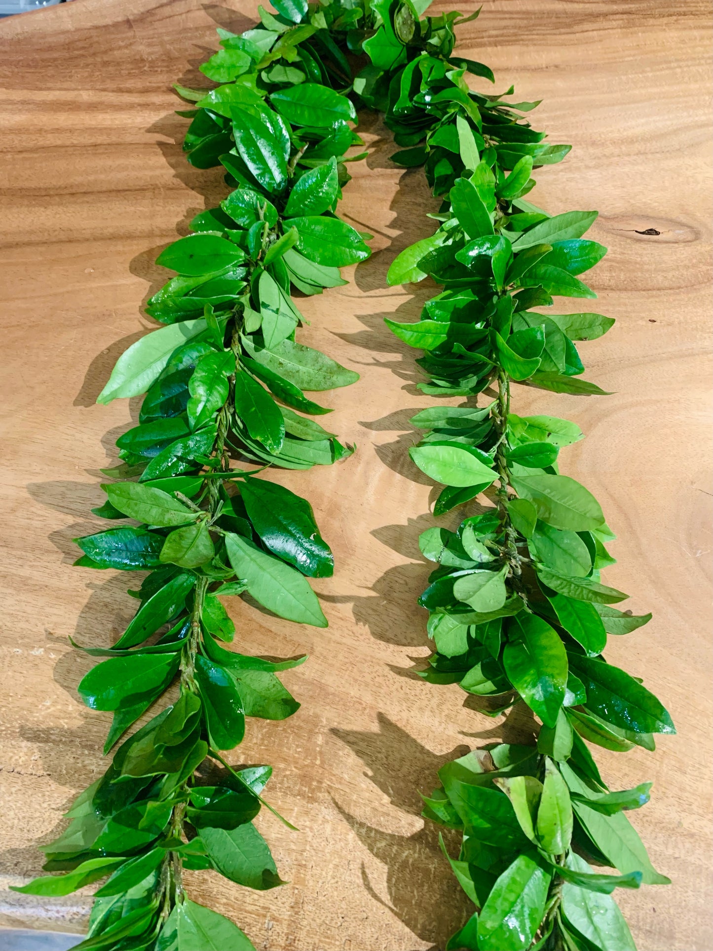 Hilo Maile for Pick-Up | Jan. 20-Jan. 25