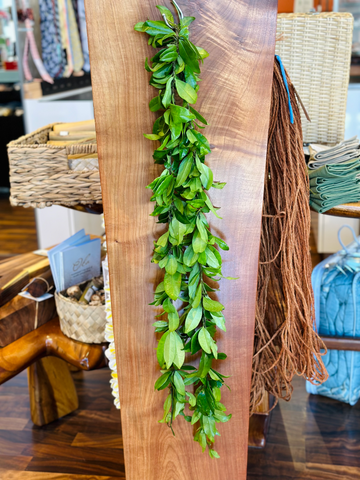 Hilo Maile In Store Pick Up Wed. Sep. 22-Sat. Sept. 30