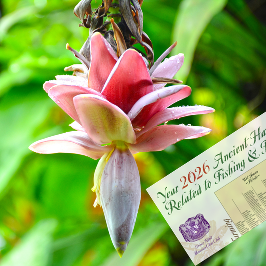 2025-2026 PKHCC Hawaiian Moon Calendar