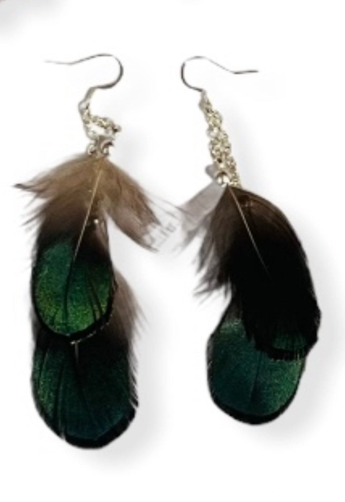Green Lady Amherst Pheasant