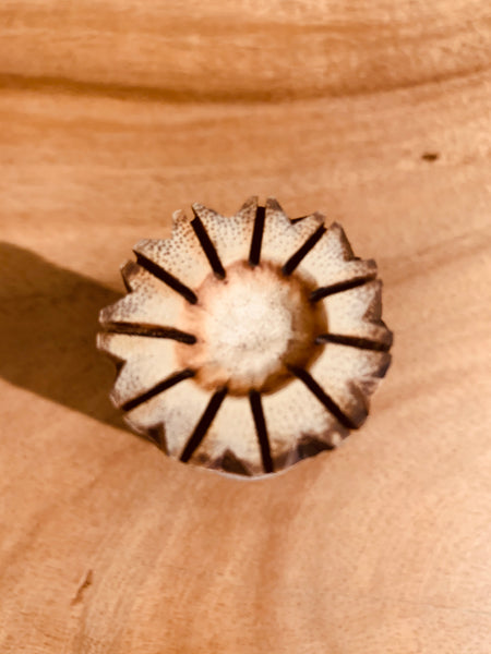 ʻOhe Kāpala Design 6