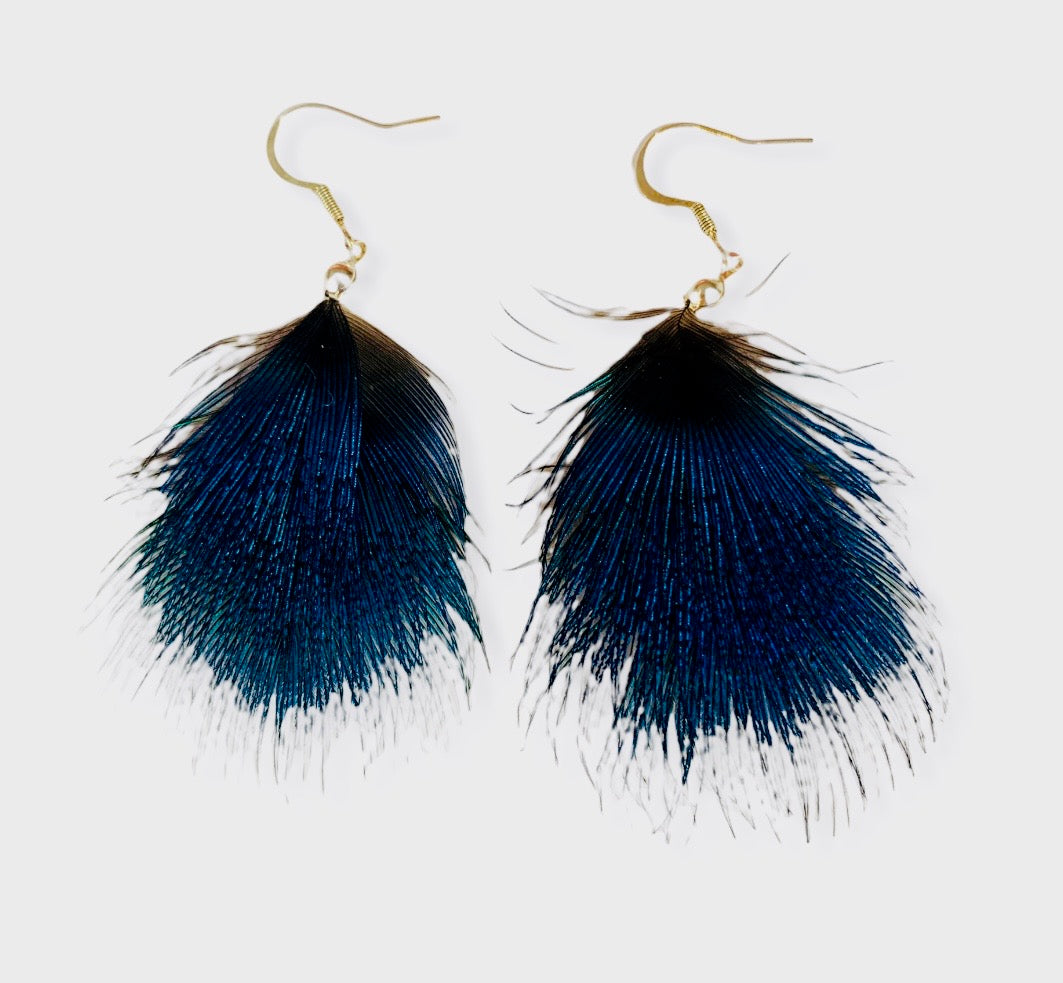 Blue Peacock