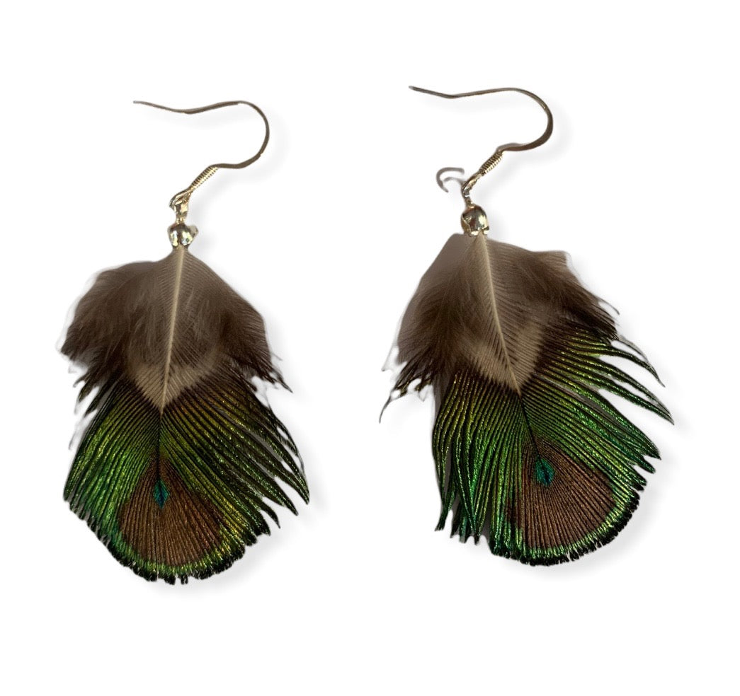 Green Peacock