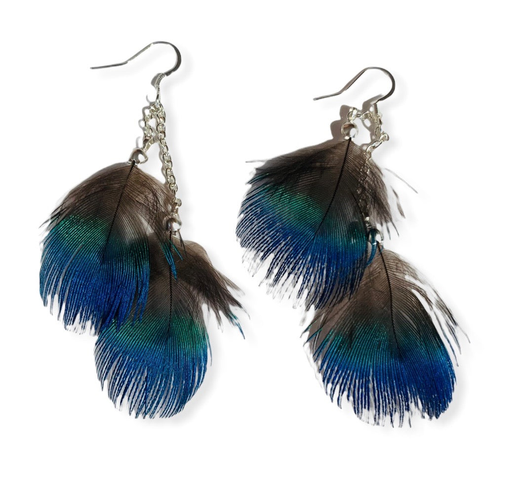 Blue Peacock