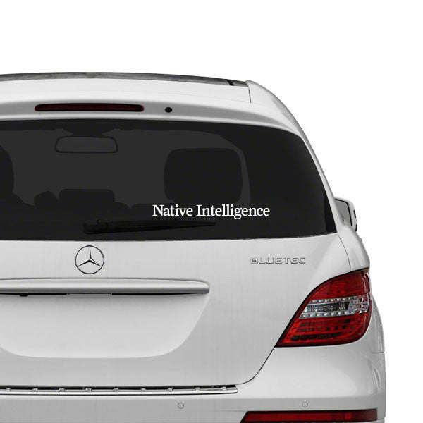 NI Window Sticker | Native Intelligence